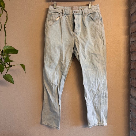 EVERLANE 90s Cheeky‎ Crop Jeans - Picture 2 of 8